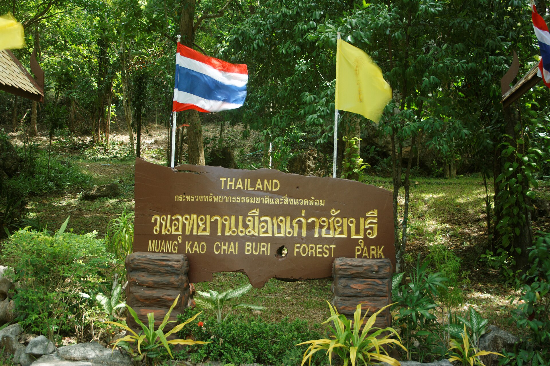 ป่าชัยบุรี ฟอเรสต์พาร์ค อำเภอชัยบุรี