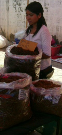 ตลาดพนม
